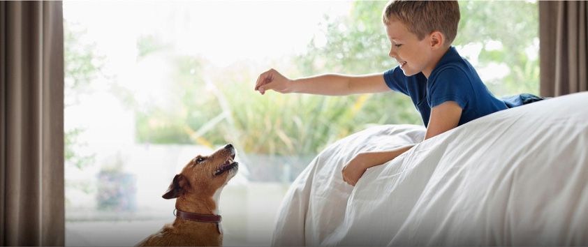 Kontrola i bezpieczeństwo